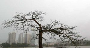 Capital acordou sob chuva nesta sexta-feira (14) e previsão é de mau tempo no fim de semana. (Foto: Denilson Secreta/Subcom)