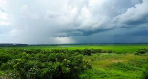 Inmet prevê instabilidades no Centro-Norte; Cemtec adverte para calor no Pantanal. (Foto: Subcom/Arquivo)