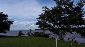 Previsão é de dia parcialmente nublado em grande parte do Estado, com chuvas isoladas no Centro e no Pantanal. (Foto: Subcom/Arquivo)