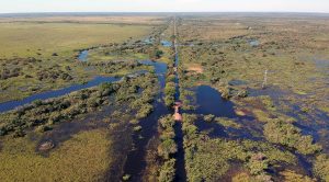 Paisagem do Pantanal Sul-Mato-Grossense, que vai experimentar calor no início do verão. (Foto: Edemir Rodrigues/Subcom/Arquivo)