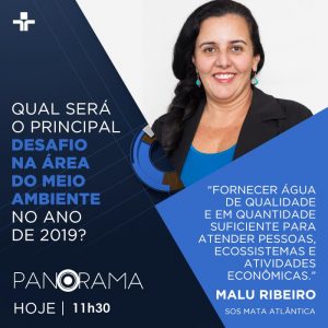 Panorama discute desafios do governo de Bolsonaro na área ambiental. (Imagem: TV Cultura/Adaptação)