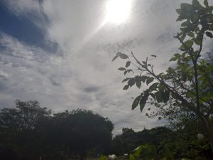 Dia promete ser de baixas temperaturas; calor começa a voltar a partir de quinta-feira. (Foto: Humberto Marques)