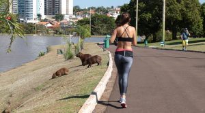 ... correr…