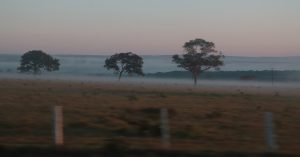 Sul e Sudoeste do Estado podem encarar geada; temperaturas baixam a 2 ºC. (Foto: Subcom/Arquivo)