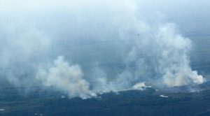 Pantanal na região do Porto da Manga, em Corumbá; ventos aumentam risco de incêndios em MS. (Foto: Edemir Rodrigues/Subcom)