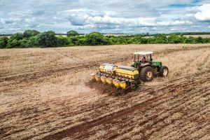 Plantio de soja em MS; Estado emplacou 14 cidades entre aquelas com os maiores valores de produção agropecuária do Brasil. (Foto: João Carlos Castro/Sistema Famasul)