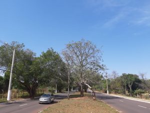 Sábado terá céu claro e calor em todo o Estado, segundo o Inmet,. (Foto: Humberto Marques)