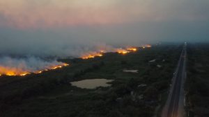 Fogo já consumiu cerca de 50 mil hectares no Pantanal, estimam autoridades. (Foto: Semagro/Divulgação)