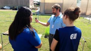 Aprendiz Legal Agronegócio visa a preparar jovens para atuação profissional no campo. (Foto: CIEE/Divulgação)