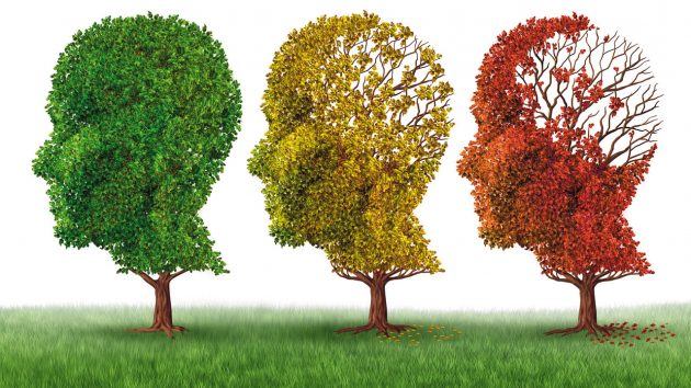 Programa da TVE Cultura MS discute o Alzheimer, tipo de demência que se manifesta mais comumente em idosos. (Imagem: Reprodução)