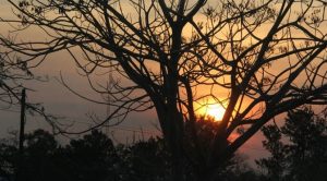 Sexta-feira terá sol e altas temperaturas, mas pode chover durante a tarde em diferentes regiões. (Foto: Subcom/Arquivo)