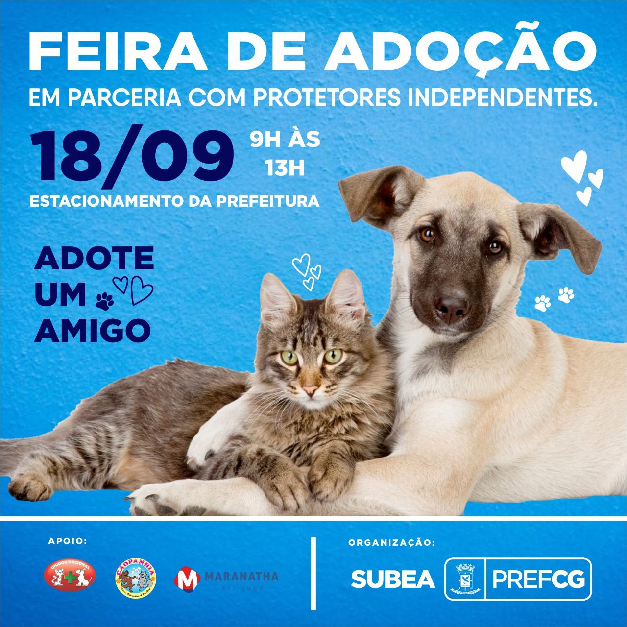 Adoção de Cachorro Campo Grande/MS, Amigo, 1 ano, Raça Fila Brasileiro